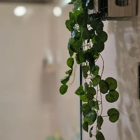 Apartment La Terraza De Predicadores By Alogest