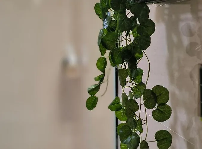 Apartamento La Terraza De Predicadores By Alogest